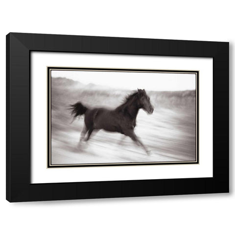Americana Black Modern Wood Framed Art Print with Double Matting by OMara, James