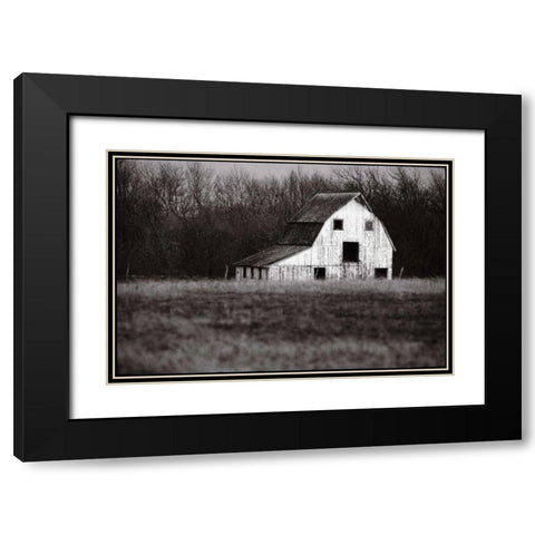 Americana Black Modern Wood Framed Art Print with Double Matting by OMara, James