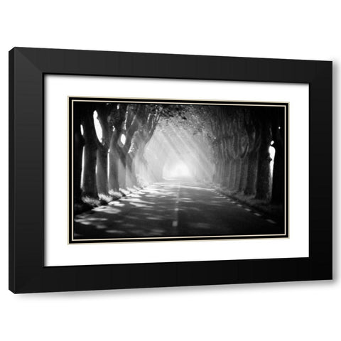 Provence Black Modern Wood Framed Art Print with Double Matting by OMara, James