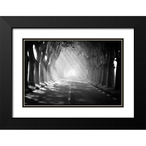 Provence Black Modern Wood Framed Art Print with Double Matting by OMara, James