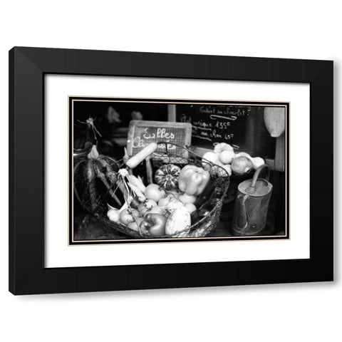 Provence Black Modern Wood Framed Art Print with Double Matting by OMara, James