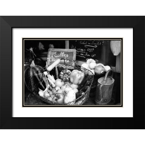 Provence Black Modern Wood Framed Art Print with Double Matting by OMara, James