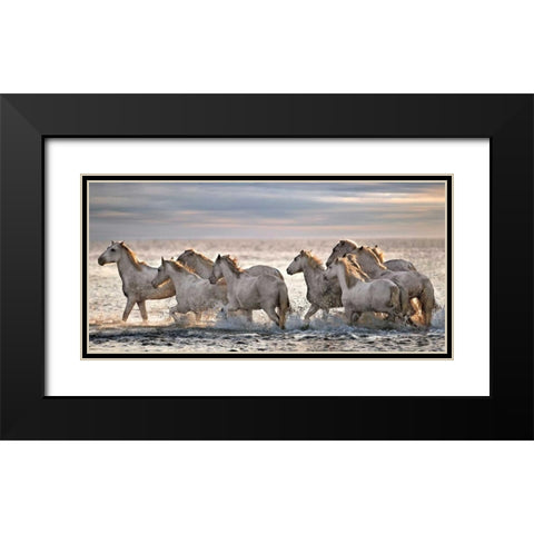 Running Horses Black Modern Wood Framed Art Print with Double Matting by Ortega, Xavier