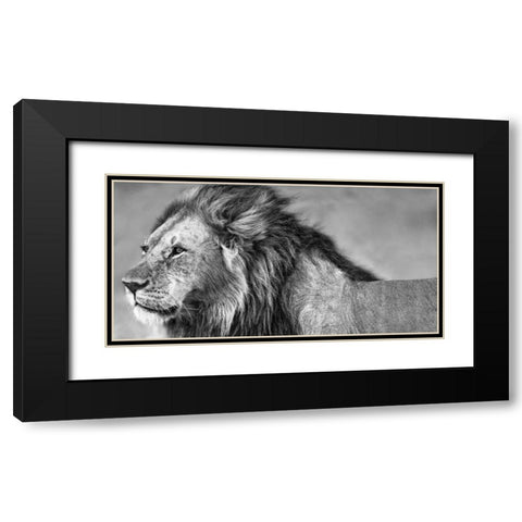 Lion Eyes Black Modern Wood Framed Art Print with Double Matting by Ortega, Xavier
