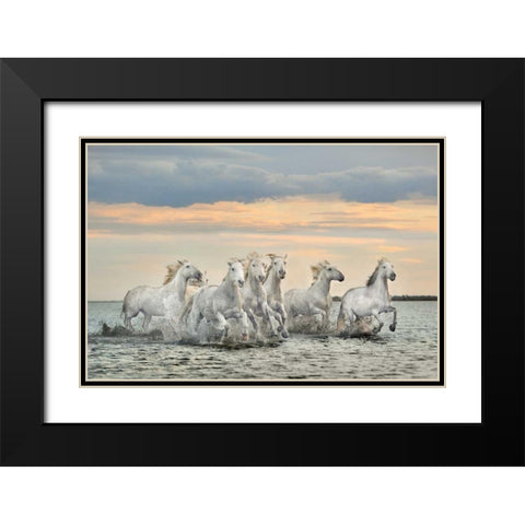 Camargue Horses - France Black Modern Wood Framed Art Print with Double Matting by Ortega, Xavier