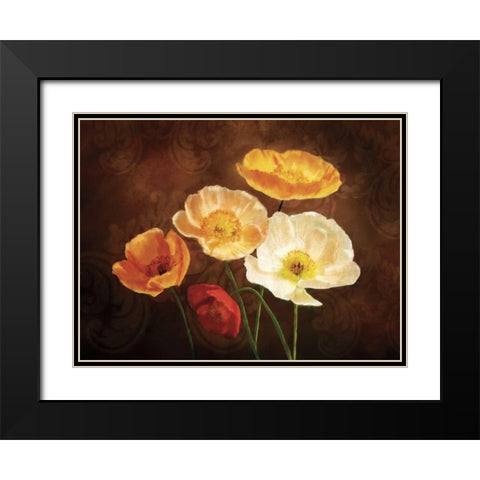 Poppy Perfection II Black Modern Wood Framed Art Print with Double Matting by Pahl, Janel