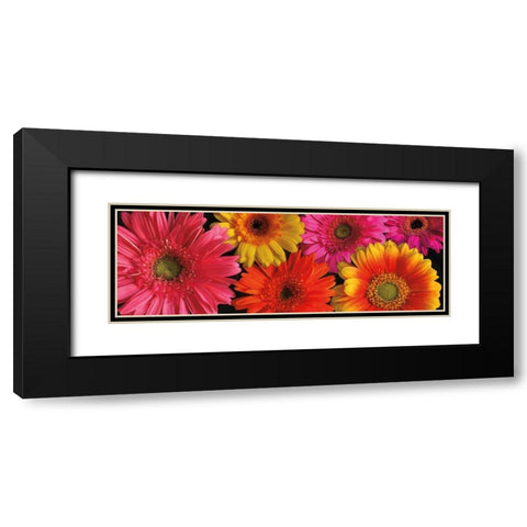 Simply Spring Black Modern Wood Framed Art Print with Double Matting by Pahl, Janel