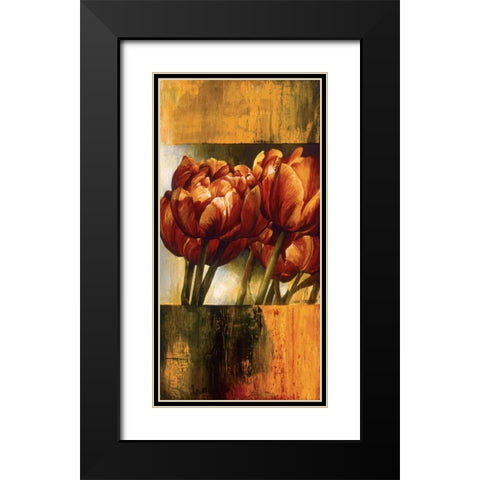 Floral Radiance I Black Modern Wood Framed Art Print with Double Matting by Thompson, Linda