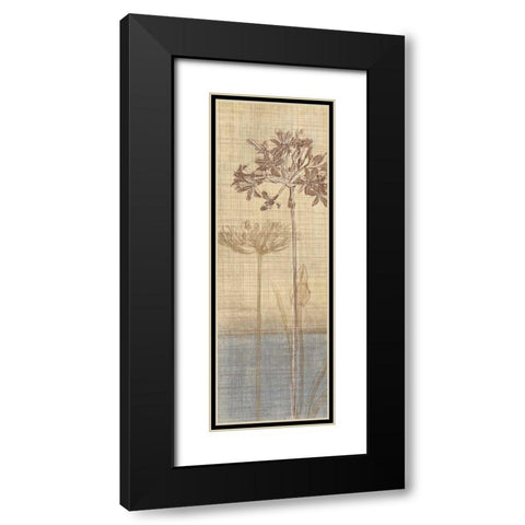 Botanical Sketchbook II Black Modern Wood Framed Art Print with Double Matting by Venter, Tandi