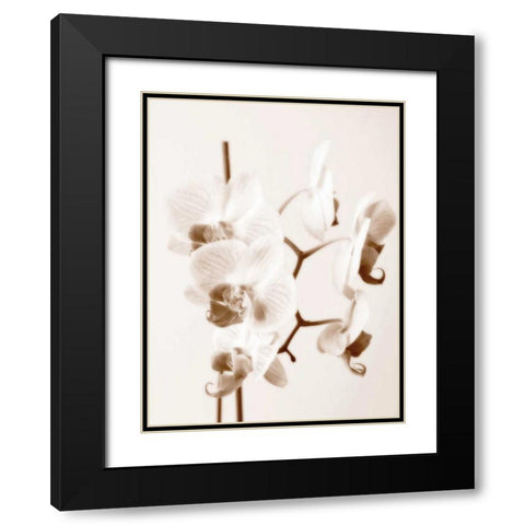 No Boundaries I Black Modern Wood Framed Art Print with Double Matting by Szilagyi, lly