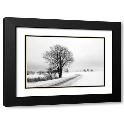 The Way Home Black Modern Wood Framed Art Print with Double Matting by Szilagyi, lly