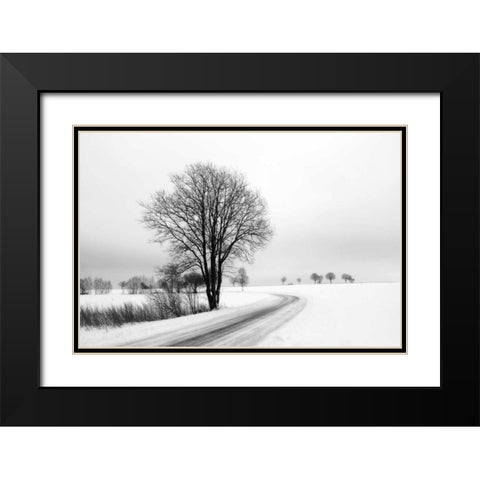 The Way Home Black Modern Wood Framed Art Print with Double Matting by Szilagyi, lly