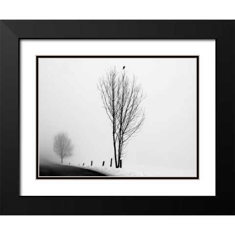 The Messenger Black Modern Wood Framed Art Print with Double Matting by Szilagyi, lly