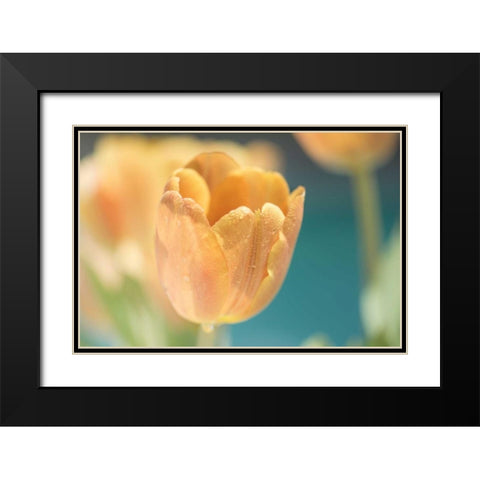 Delightful Black Modern Wood Framed Art Print with Double Matting by Marie, Dina