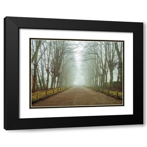 Dreamscape Wonder Black Modern Wood Framed Art Print with Double Matting by Frank, Assaf