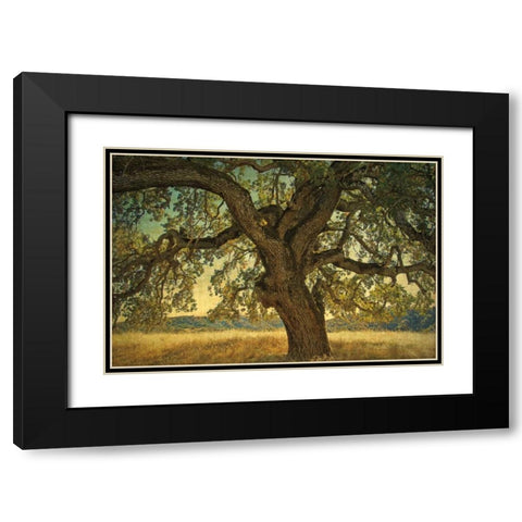 Blue Oak Silhouette Black Modern Wood Framed Art Print with Double Matting by Guion, William