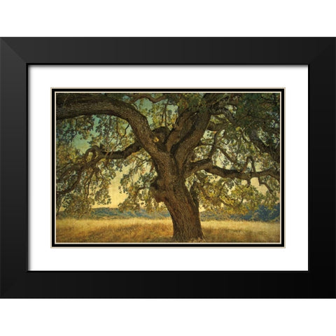 Blue Oak Silhouette Black Modern Wood Framed Art Print with Double Matting by Guion, William