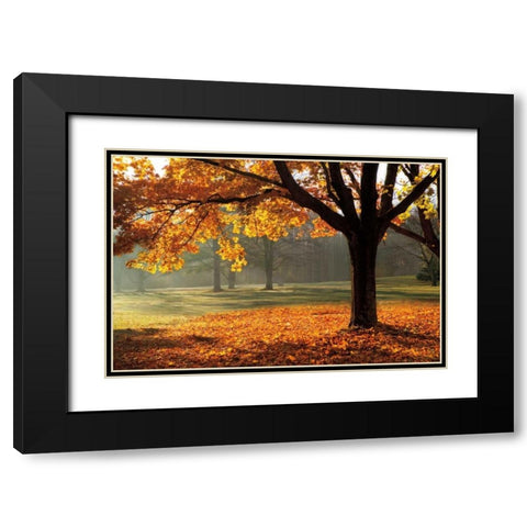 Autumn Black Modern Wood Framed Art Print with Double Matting by Jones, Mike