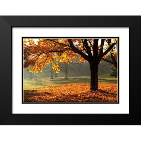 Autumn Black Modern Wood Framed Art Print with Double Matting by Jones, Mike