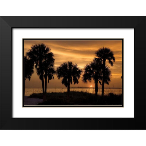 Tropical Park Sunset Black Modern Wood Framed Art Print with Double Matting by Jones, Mike