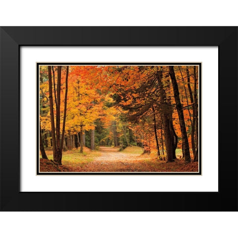 Autumn Walk Black Modern Wood Framed Art Print with Double Matting by Jones, Mike