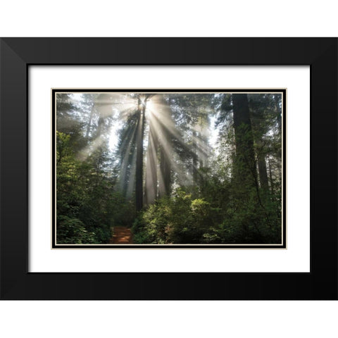 Shine On You Black Modern Wood Framed Art Print with Double Matting by Jones, Mike
