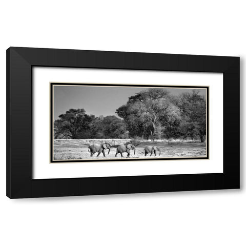 Follow The Leader Black Modern Wood Framed Art Print with Double Matting by Ortega, Xavier
