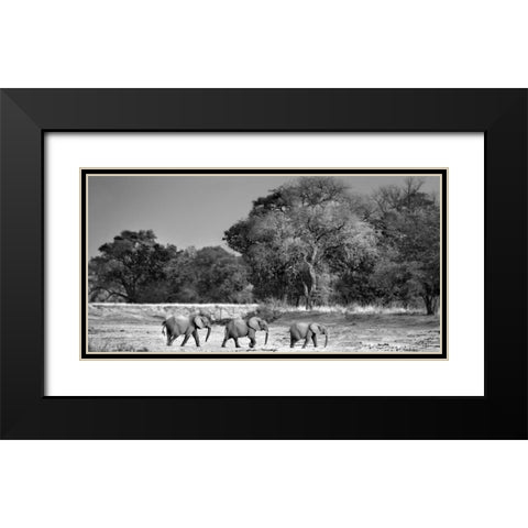 Follow The Leader Black Modern Wood Framed Art Print with Double Matting by Ortega, Xavier