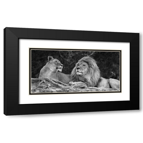 Love Black Modern Wood Framed Art Print with Double Matting by Ortega, Xavier
