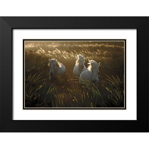 Wild and Free Black Modern Wood Framed Art Print with Double Matting by Ortega, Xavier