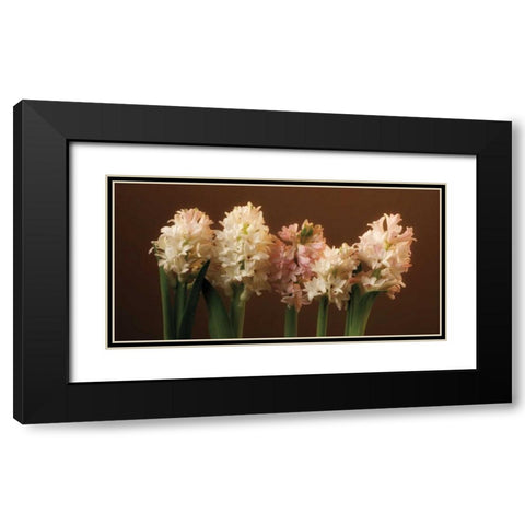 Garden Blooms Black Modern Wood Framed Art Print with Double Matting by Pahl, Janel