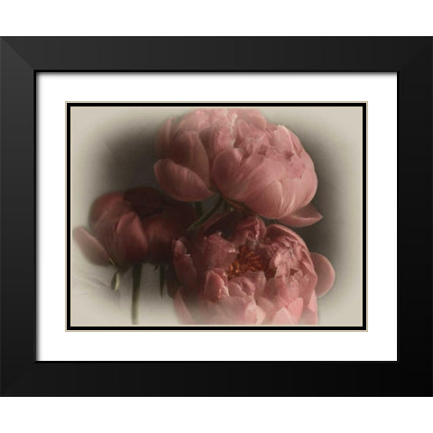 Heavenly Black Modern Wood Framed Art Print with Double Matting by Pahl, Janel