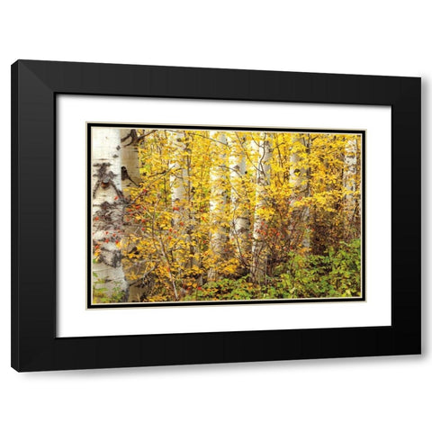 Hiding Black Modern Wood Framed Art Print with Double Matting by Pahl, Janel