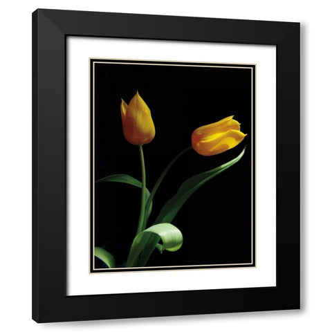 Trust Black Modern Wood Framed Art Print with Double Matting by Szilagyi, Ily