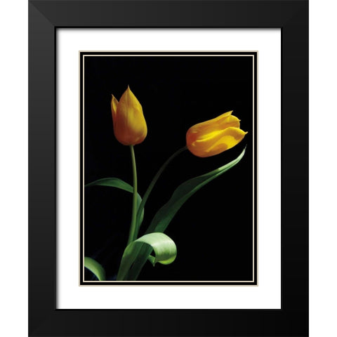Trust Black Modern Wood Framed Art Print with Double Matting by Szilagyi, Ily
