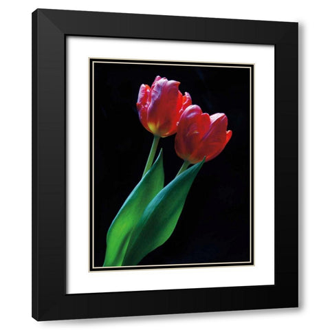 Romance Black Modern Wood Framed Art Print with Double Matting by Szilagyi, Ily