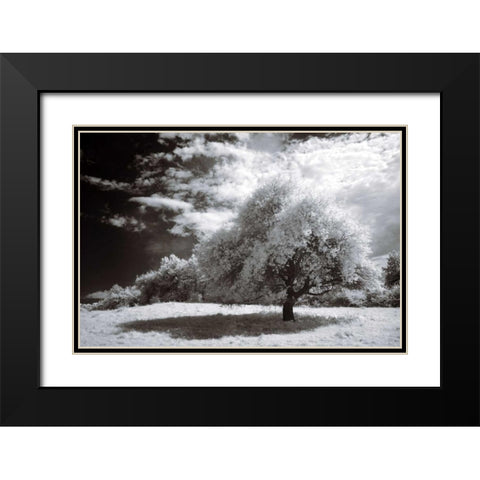 Peace Black Modern Wood Framed Art Print with Double Matting by Szilagyi, Ily