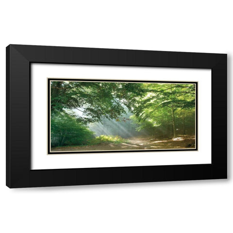 Morning Break Black Modern Wood Framed Art Print with Double Matting by Vila, Toni