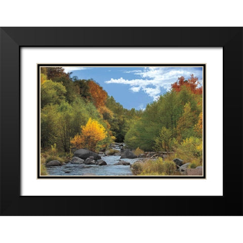 Near Perfect Day Black Modern Wood Framed Art Print with Double Matting by Jones, Mike