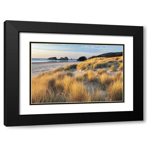 Dune Grass and Beach Black Modern Wood Framed Art Print with Double Matting by Frates, Dennis