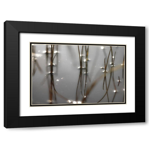 Still Waters Black Modern Wood Framed Art Print with Double Matting by Frank, Assaf