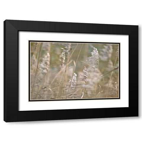 Wind Blown Black Modern Wood Framed Art Print with Double Matting by Frank, Assaf