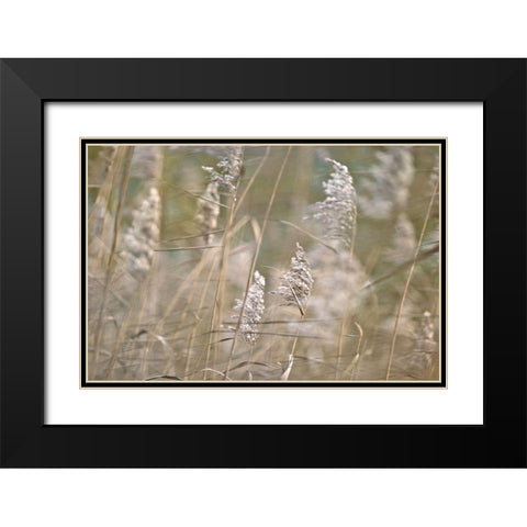 Wind Blown Black Modern Wood Framed Art Print with Double Matting by Frank, Assaf