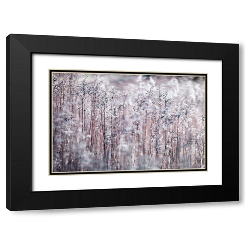 Cotton Tops Black Modern Wood Framed Art Print with Double Matting by Frank, Assaf