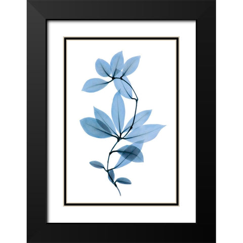 Get Growing II Black Modern Wood Framed Art Print with Double Matting by ACEE