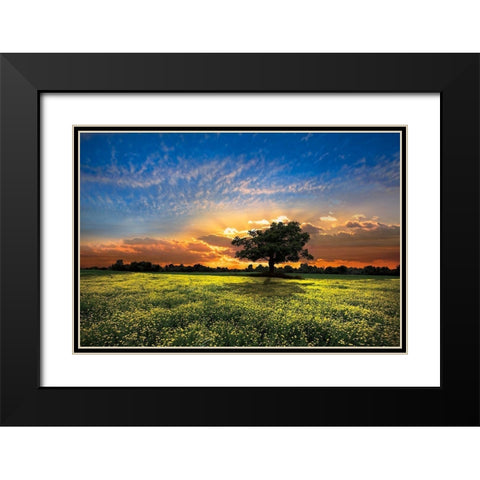 Shadows at Sunset Black Modern Wood Framed Art Print with Double Matting by Celebrate Life Gallery