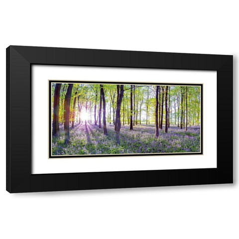 Bluebells and Sunrise Black Modern Wood Framed Art Print with Double Matting by Frank, Assaf