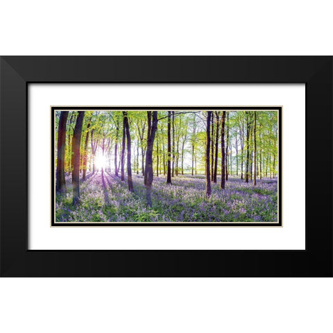 Bluebells and Sunrise Black Modern Wood Framed Art Print with Double Matting by Frank, Assaf