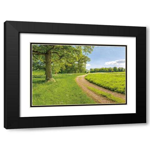 Greenest Pastures Black Modern Wood Framed Art Print with Double Matting by Frank, Assaf