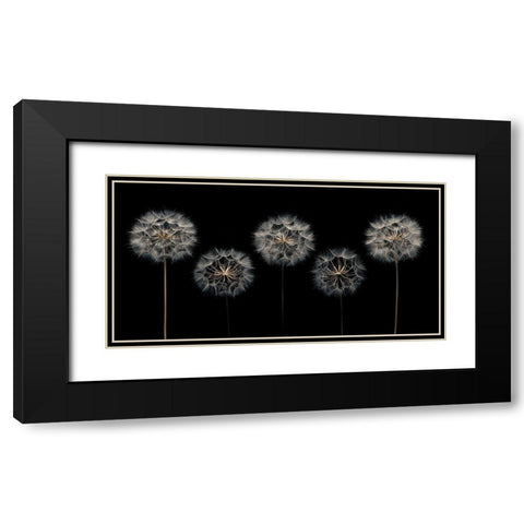 Make A Wish Black Modern Wood Framed Art Print with Double Matting by Frank, Assaf